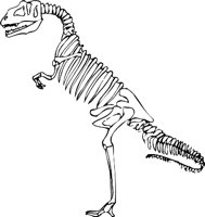 DINOSKL.WMF