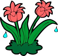 FLOWERS4.WMF