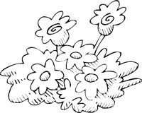 FLOWERS3.WMF