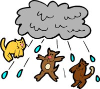 CATDOG4.WMF