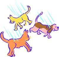 CATDOG1.WMF