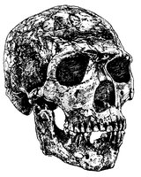 SKULL5.GIF