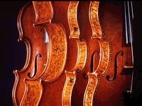 STRADS.GIF