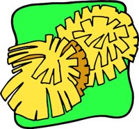POMPOMR.WMF