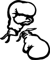 BOXGLOV3.WMF
