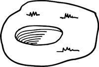 GLFHOLER.WMF