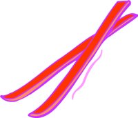 SKIS2.WMF