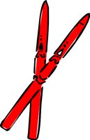 SKIS1.WMF