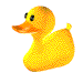 ART-0462.GIF
