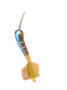A002-062.GIF
