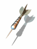 A002-029.GIF