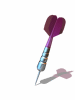 A002-007.GIF