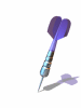 A002-005.GIF
