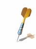 A002-002.GIF