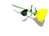 A010-099.GIF