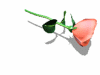 A010-098.GIF