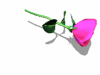 A010-097.GIF