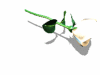 A010-096.GIF