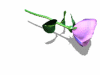 A010-095.GIF