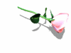 A010-094.GIF