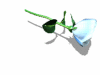 A010-093.GIF