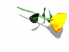 A010-092.GIF