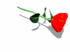 A010-091.GIF
