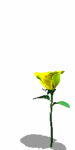 A010-089.GIF