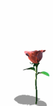 A010-088.GIF