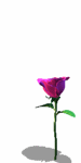 A010-087.GIF