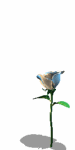 A010-086.GIF