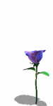 A010-085.GIF