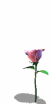 A010-084.GIF