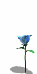 A010-083.GIF