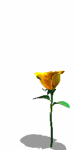 A010-082.GIF