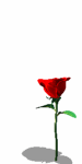 A010-081.GIF