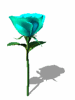 A010-080.GIF