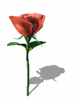 A010-078.GIF