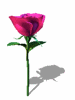 A010-077.GIF