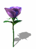 A010-075.GIF