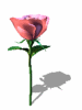 A010-074.GIF
