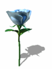 A010-073.GIF
