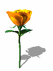 A010-072.GIF
