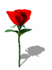 A010-071.GIF