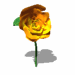 A010-062.GIF