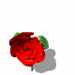 A010-051.GIF