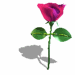 A010-047.GIF