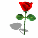 A010-041.GIF