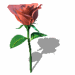 A010-038.GIF
