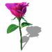 A010-037.GIF